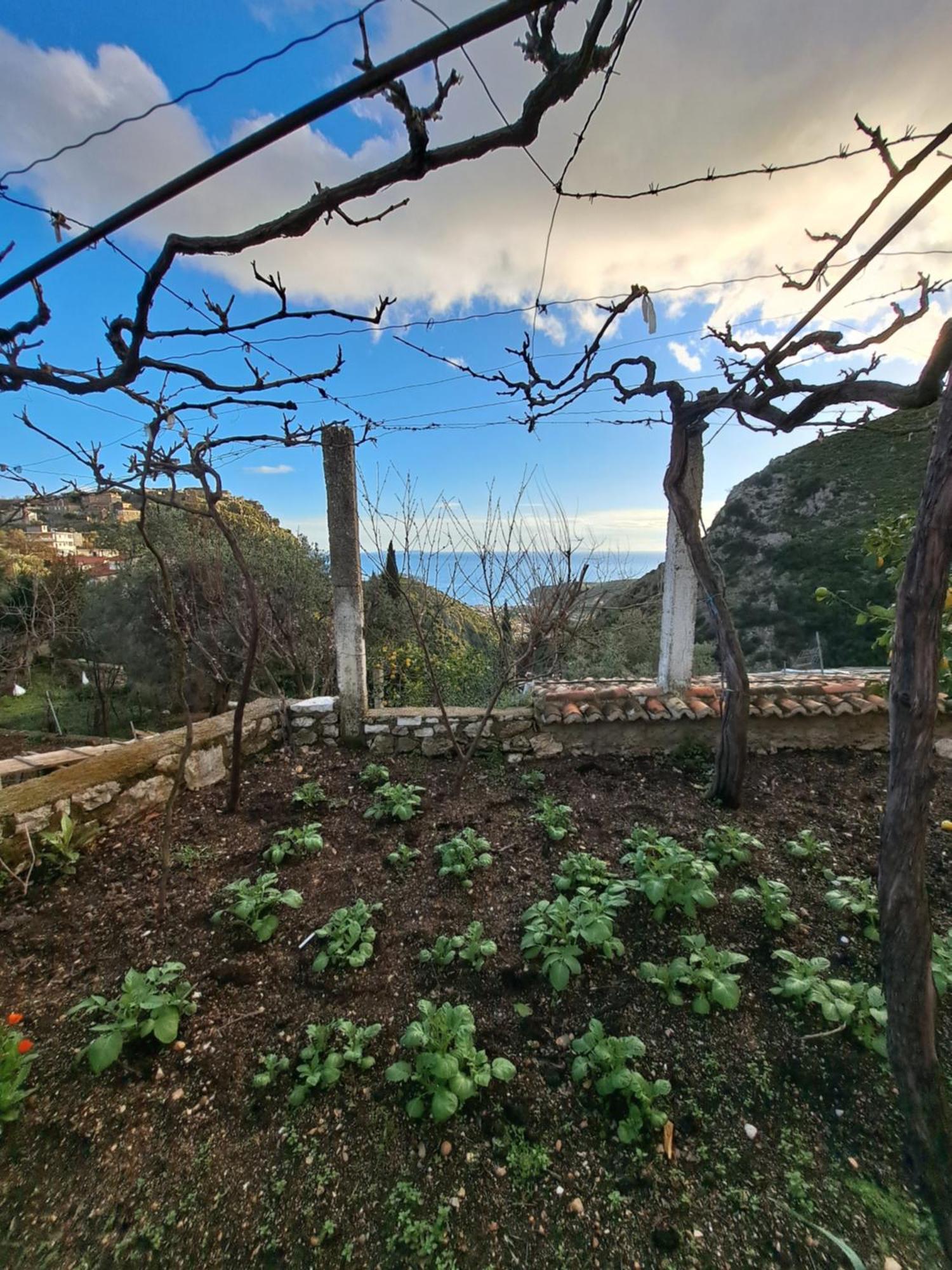 Country house The Grandfather's Himare
