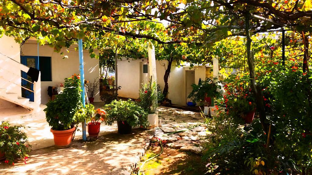 The Grandfather's Country house *